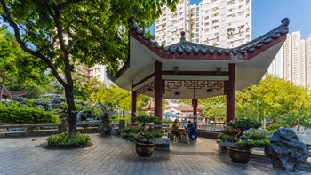 凉亭以盘栽和奇石点缀，丰富了亭子的中式花园风格。